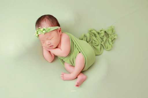 安达孕妇不能接触的花 安达孕妇不能接触的花